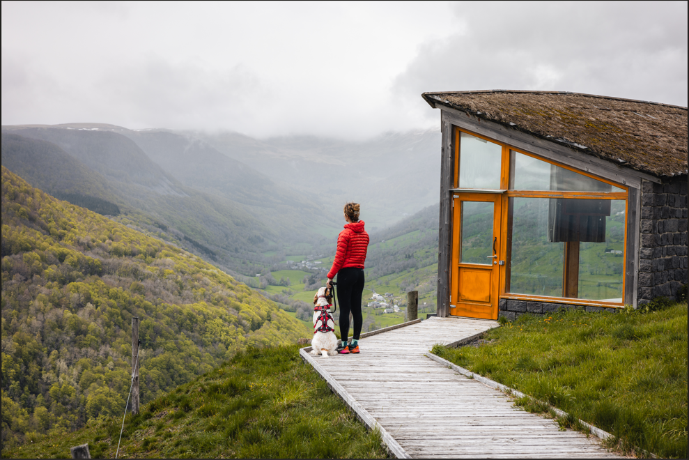 Partir en vacances avec son chien dans le Cantal.